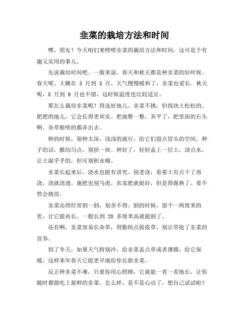 韭菜的栽培方法和时间