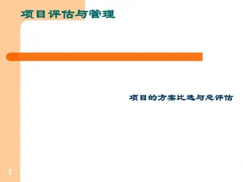 项目的方案比选与总评估课件(PPT 42张)