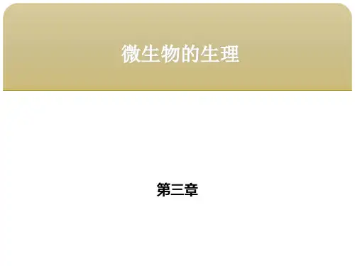 食品微生物学 第三章微生物的生理  第二节微生物的生长