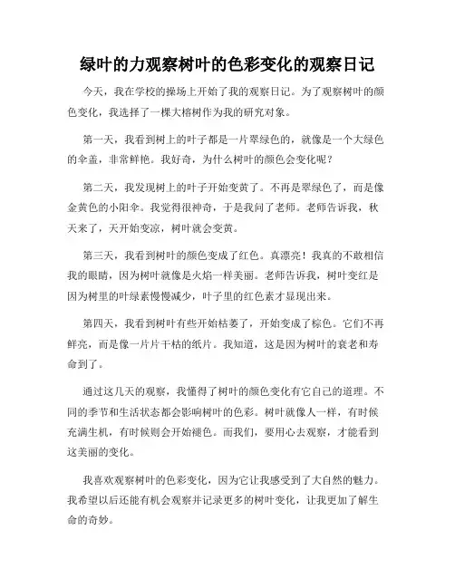 小学三年级作文绿叶的力观察树叶的色彩变化的观察日记