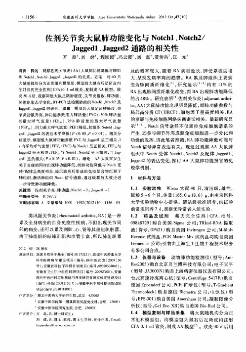 佐剂关节炎大鼠肺功能变化与Notch1、Notch2／Jagged1、Jagged2通路的相关性
