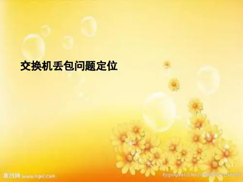 交换机丢包故障处理