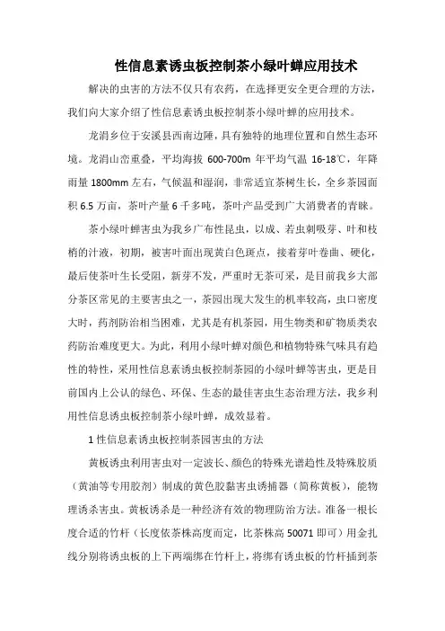 性信息素诱虫板控制茶小绿叶蝉应用技术