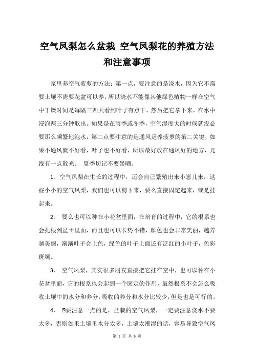 空气凤梨怎么盆栽 空气凤梨花的养殖方法和注意事项