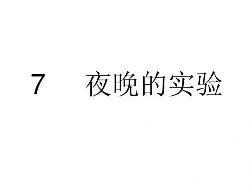 六年级语文夜晚的实验(新编2019教材)