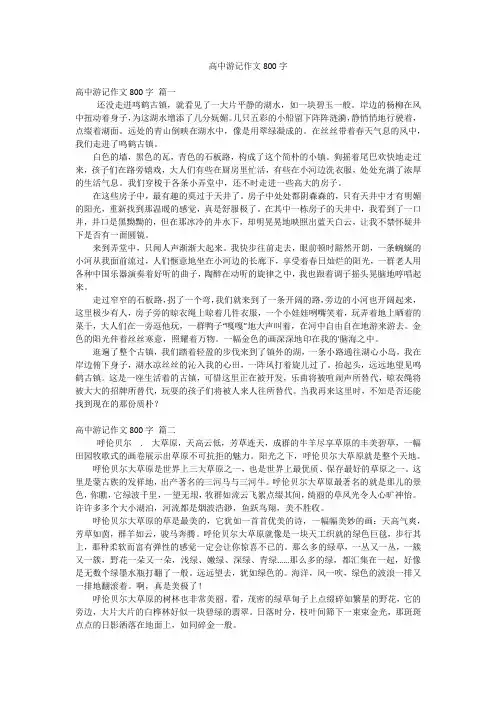 高中游记作文800字