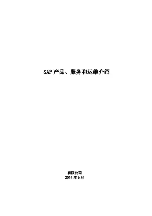 SAP产品服务和运维介绍