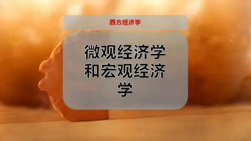 微观经济学和宏观经济学