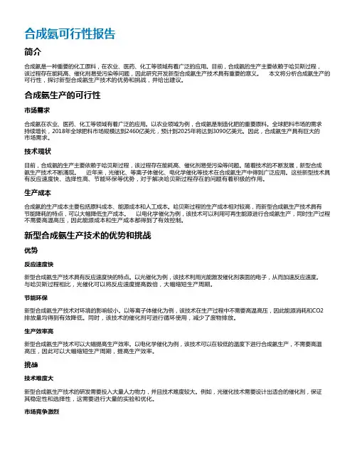 合成氨可行性报告