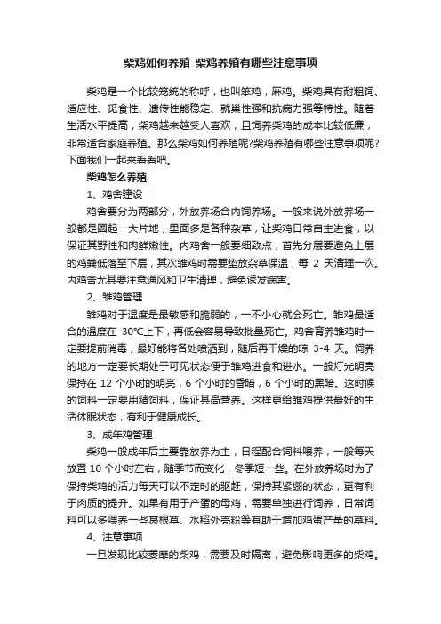 柴鸡如何养殖_柴鸡养殖有哪些注意事项