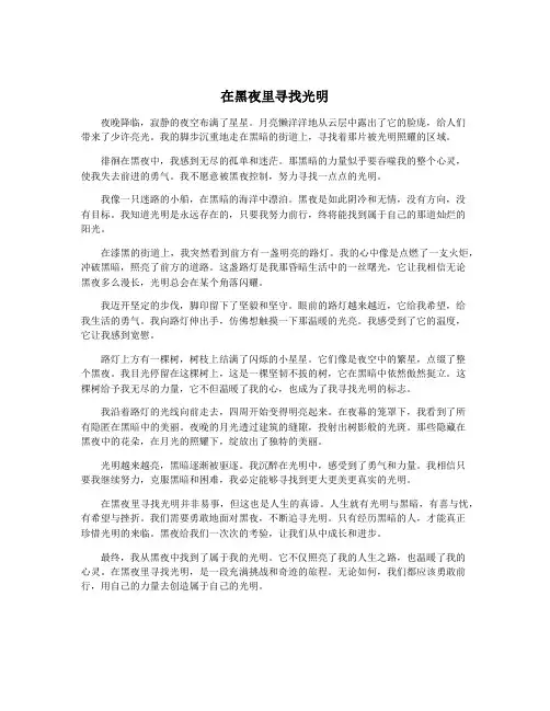 在黑夜里寻找光明