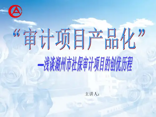 做好审计项目的几点体会