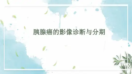 胰腺癌的影像诊断与分期