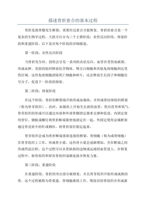 描述骨折愈合的基本过程