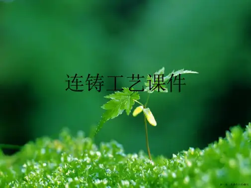 连铸工艺课件