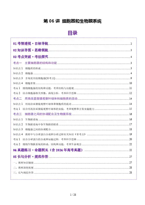 第06讲 细胞器和生物膜系统(讲义)(解析版)-2025年高考生物一轮复习