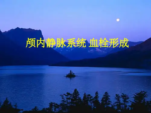 颅内静脉系统血栓形成