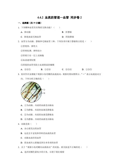 人教版生物七年级下册血流的管道—血管