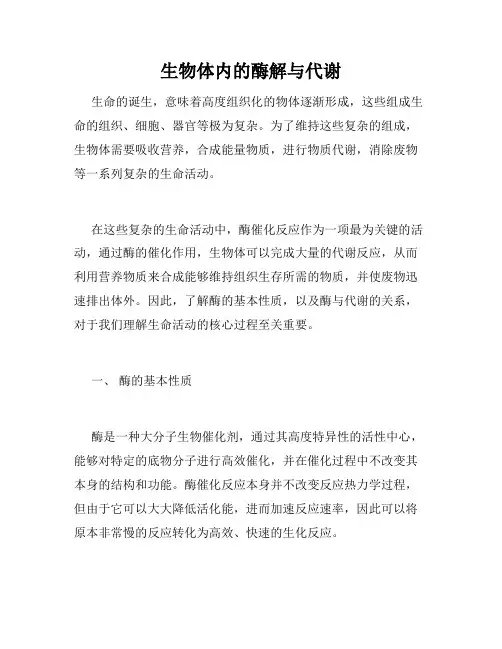 生物体内的酶解与代谢