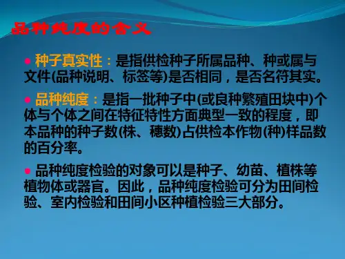 品种纯度检验