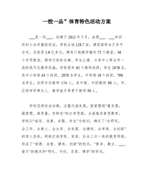 一校一品”体育特色活动方案