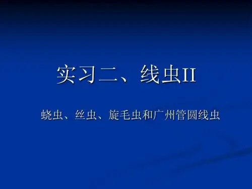 实习二 线虫二(Lu)
