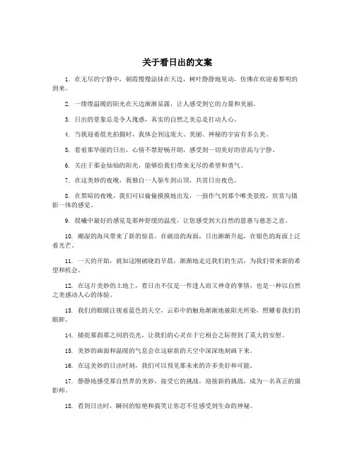 关于看日出的文案