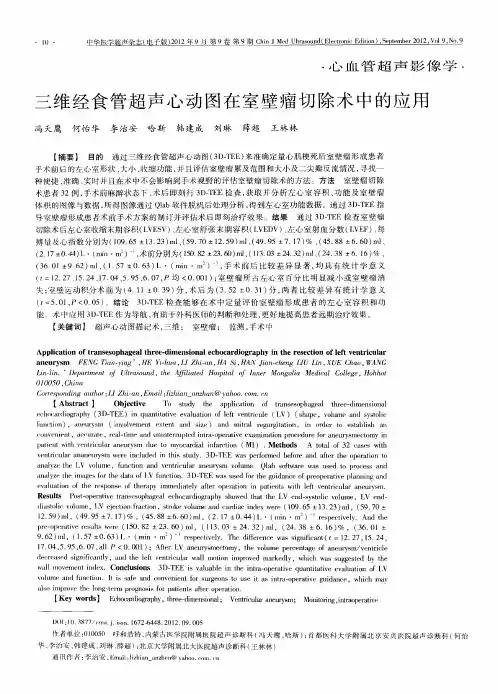 三维经食管超声心动图在室壁瘤切除术中的应用