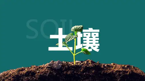 土壤的形成(共76张ppt).ppt