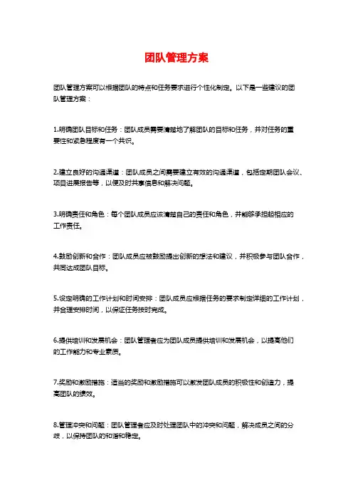团队管理方案