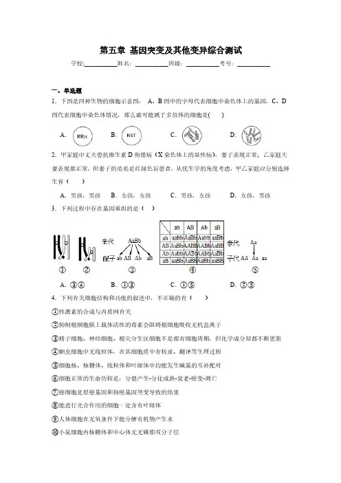 第五章 基因突变及其他变异综合测试(含解析)-2023-2024学年高一下学期生物人教版必修2