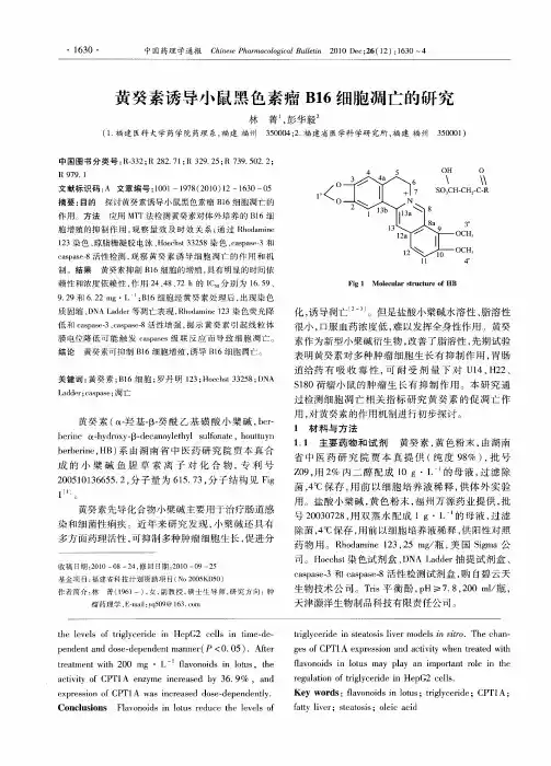 黄癸素诱导小鼠黑色素瘤B16细胞凋亡的研究