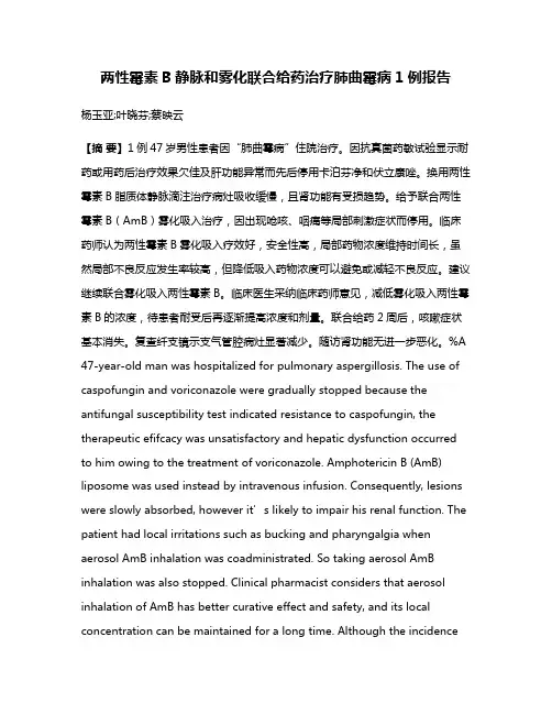 两性霉素B静脉和雾化联合给药治疗肺曲霉病1例报告