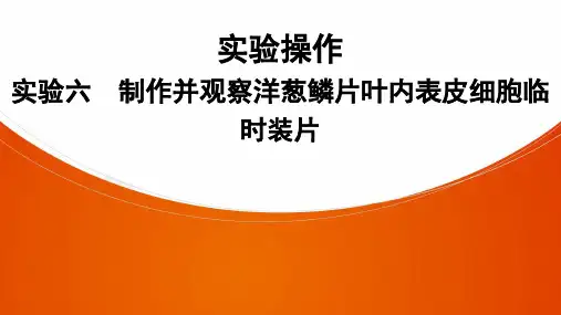 生物七年级上册人教版实验操作 实验6 制作并观察洋葱鳞片叶内表皮细胞临时装片