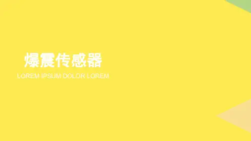 2022爆震传感器精选ppt