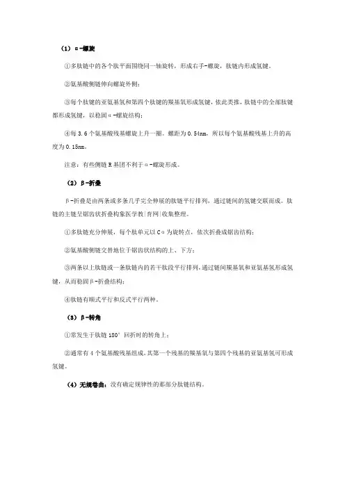 蛋白质的二级结构