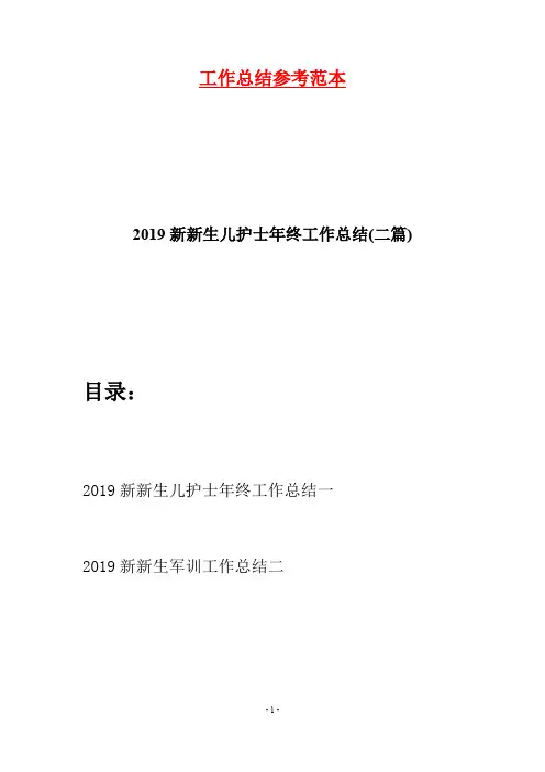 2019新新生儿护士年终工作总结(二篇)