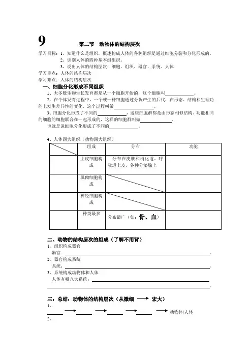 9动、植物结构层次