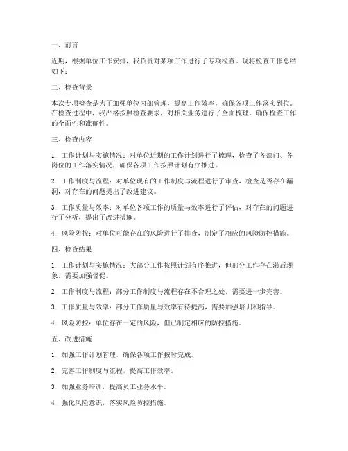 专项检查个人工作总结