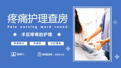 疼痛护理查房PPT