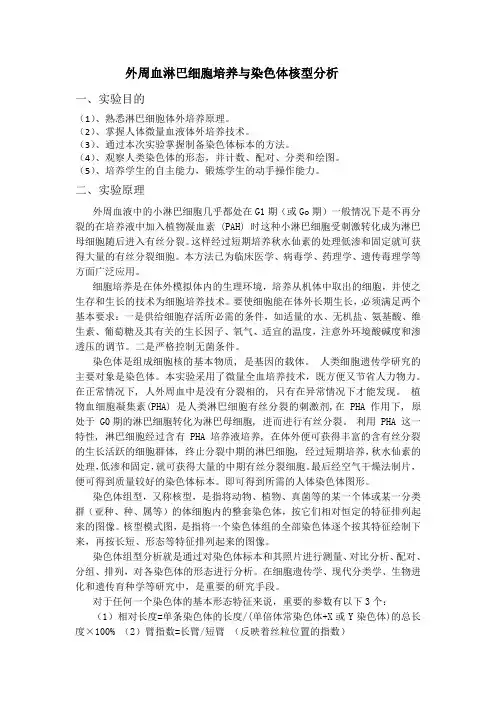 外周血淋巴细胞培养与染色体核型分析