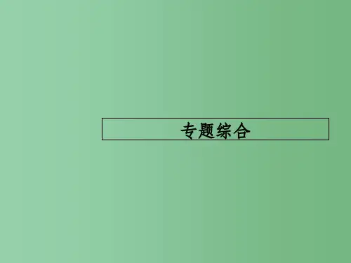 高考历史一轮复习 专题综合10 各国经济体制的创新和调整与经济全球化 人民版