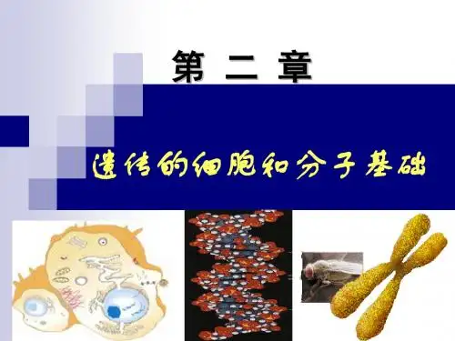 课件-遗传细胞和分子基础-PPT文档资料135页