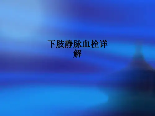下肢静脉血栓详解PPT课件