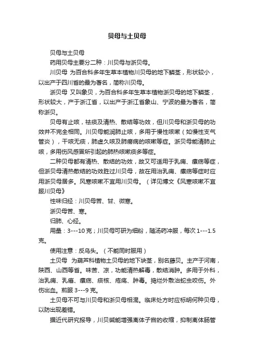 贝母与土贝母