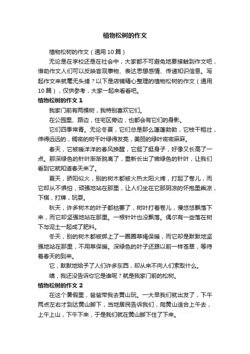 植物松树的作文