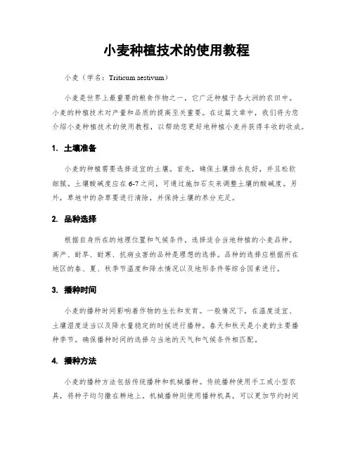 小麦种植技术的使用教程