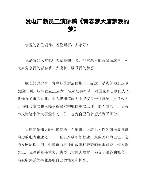 发电厂新员工演讲稿《青春梦大唐梦我的梦》