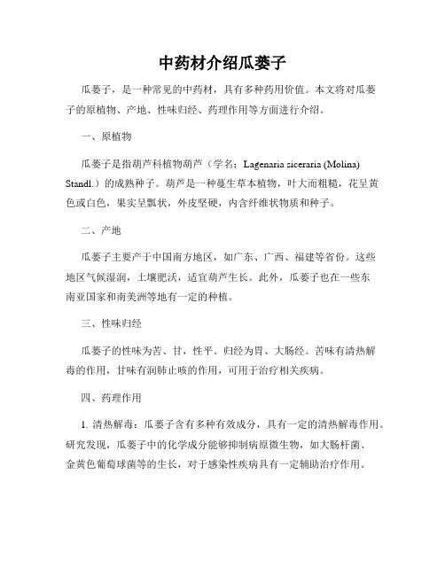 中药材介绍瓜蒌子