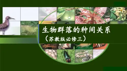 苏教版高中生物必修3《生物群落中的种间关系》名师课件